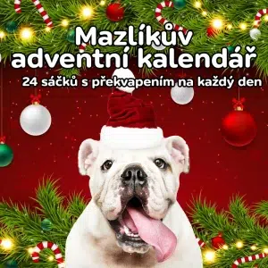 Adventní kalendář pro psy