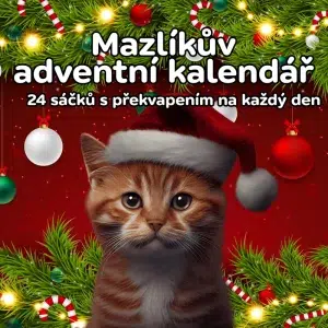 Adventní kalendář pro kočky