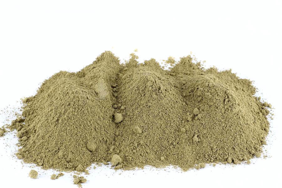 Kelpa - Hnědé mořské řasy