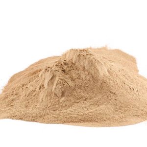 Pivovarské kvasnice